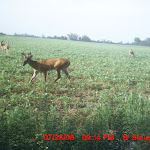 MDGC0043.JPG