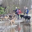 hondenwandeling 26-12-2011 002.JPG