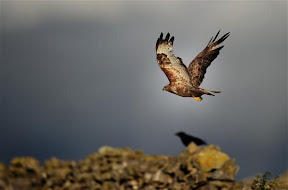 Peak District  (9).JPG