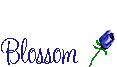Blossom_thumb5