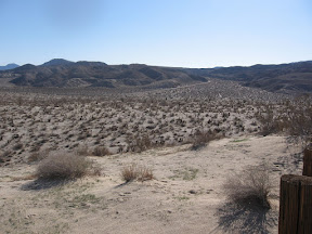 High atop Egg Mountain looking south.