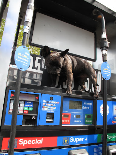 Sharkey, I'll push the buttons if you lift the nozzle.
