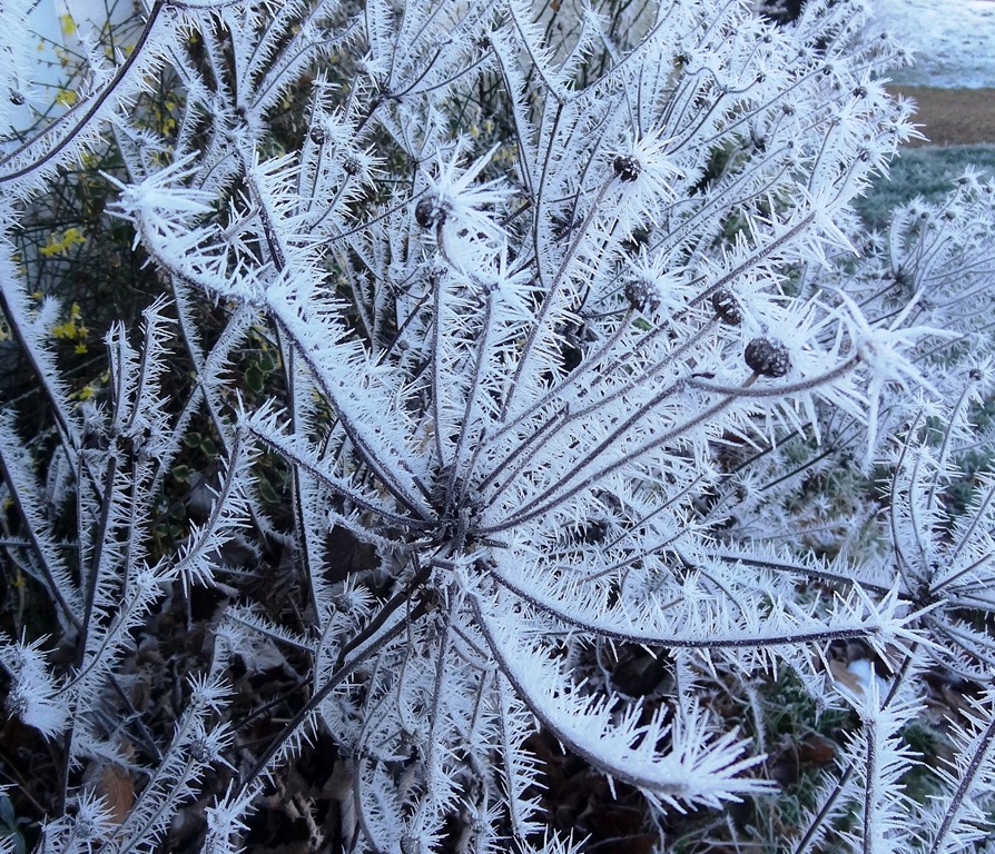 [2013%2520Jan%2520Ice%2520Storm%2520Cambridge%252012%255B4%255D.jpg]