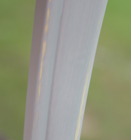 [IMG_07615.jpg]
