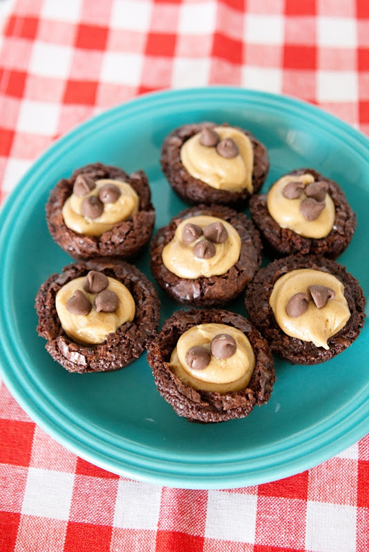Peanut Butter Brownie Bites Recipe Peanut Butter Brownie Bites Recipe