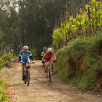 chanfana09098.jpg