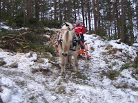 IMG_5156.JPG