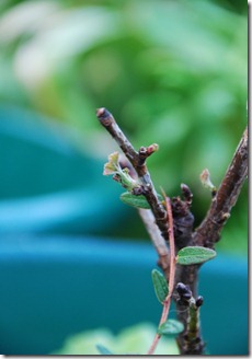 DSC_0056 DSC_0056