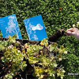 Care for the environment! A tree is planted for every booking and we give you a certificate dedicated to the person of your choice.