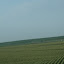 dscf5186.jpg dscf5186.jpg