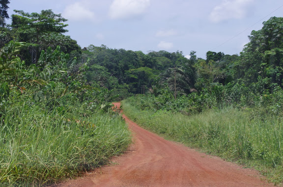 La piste vers Ebogo (Cameroun), 8 avril 2012. Photo : J.-M. Gayman