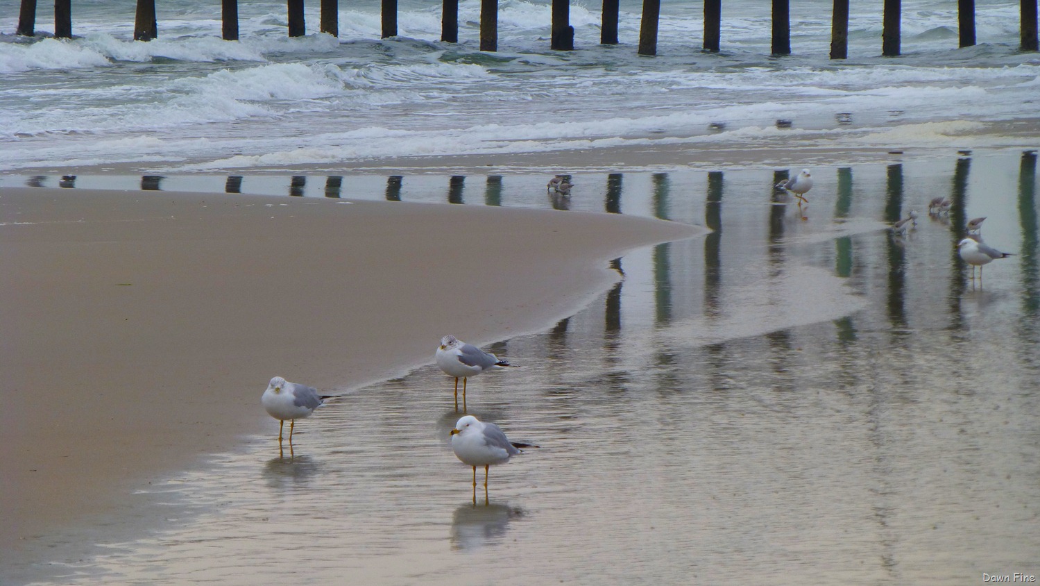 [Pawleys%2520island%2520%252810%2529.jpg]