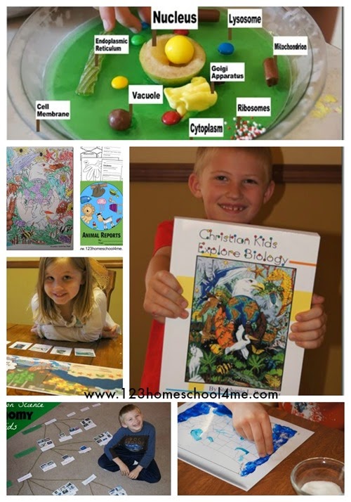 Christian Kids Explore Biology by Bright Ideas Press - a fun, hands on, science curriculum for the whole family Christian Kids Explore Biology by Bright Ideas Press - a fun, hands on, science curriculum for the whole family
