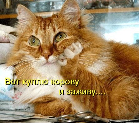 [kotomatrix_01%255B5%255D.jpg]