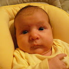 DSCF0057.JPG