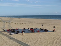 IMG_2585 IMG_2585