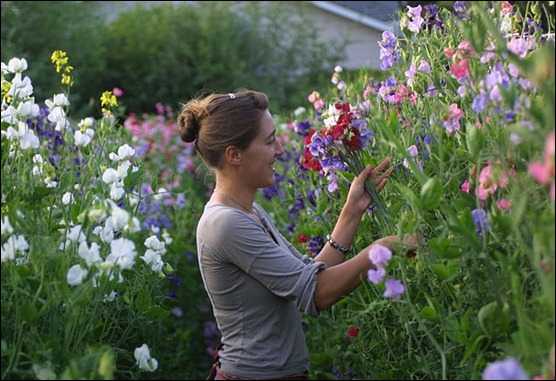 hard drive photos#2 1285 floret flower journal