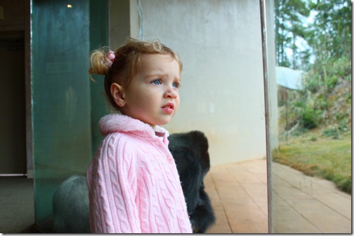 12-24-2011_999_26
