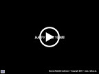 Downloads.wmv