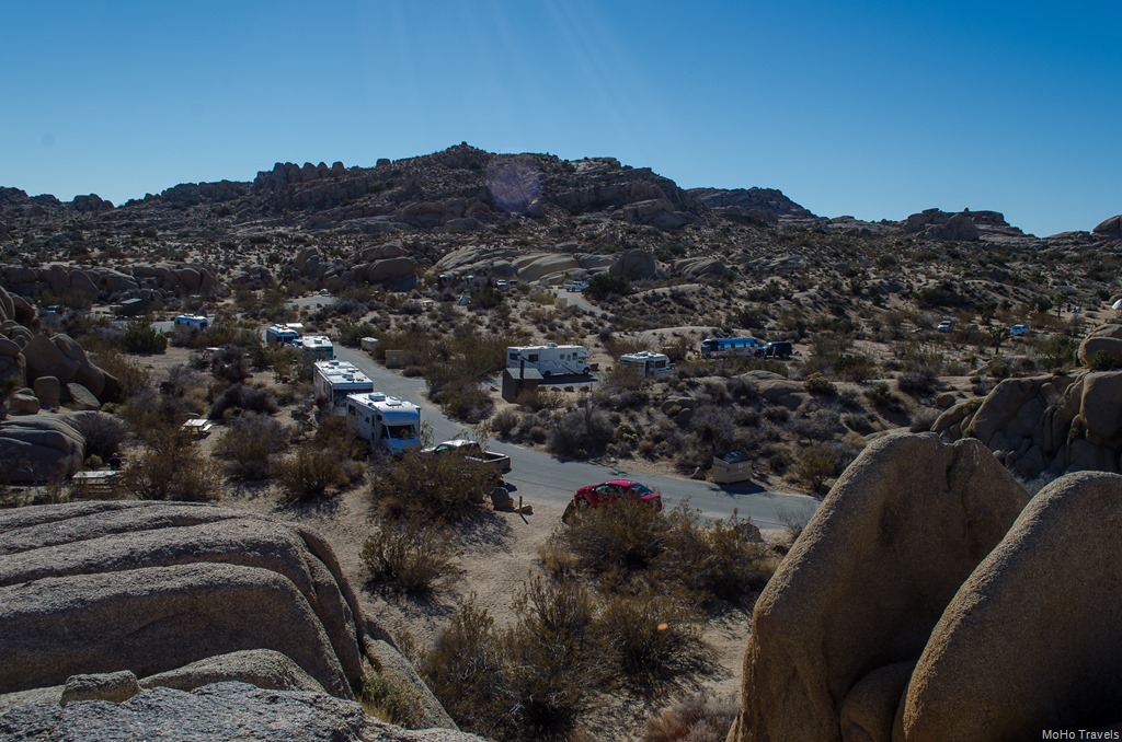 [Joshua%2520Tree%2520Morning%2520%252852%2520of%252054%2529%255B2%255D.jpg]