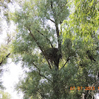 DSCN9675.JPG