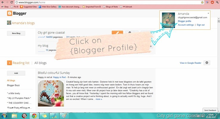 blogger profile window