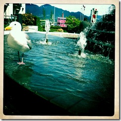 photo (3)