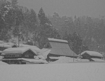 DSC04394 DSC04394