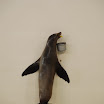 hokkaido_394.jpg