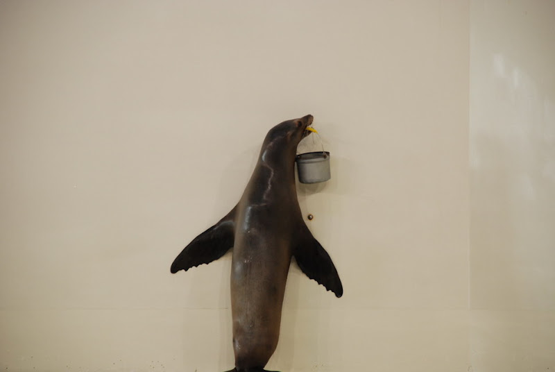 hokkaido_394.jpg