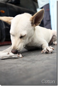 IMG_0304 IMG_0304