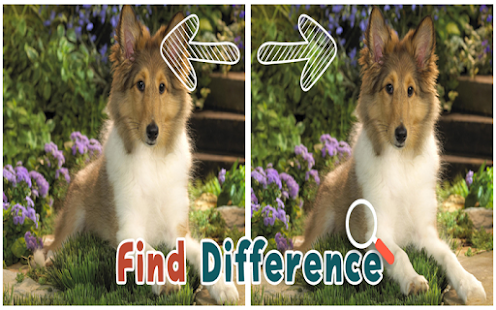 How to install Find 5 Differences : Puppies 1.0 unlimited apk for laptop