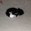DSCN7702.jpg DSCN7702.jpg
