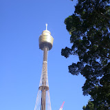 Sydney Tower
