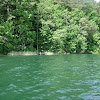 dsc03251.jpg