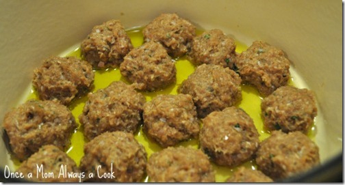 Turkey Meatballs