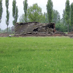 DSCF7154.JPG