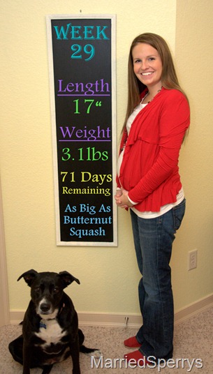 BabyBump_11_03_2012_1286.NEF