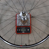 image8.jpg