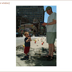 tribeca.4.jpg
