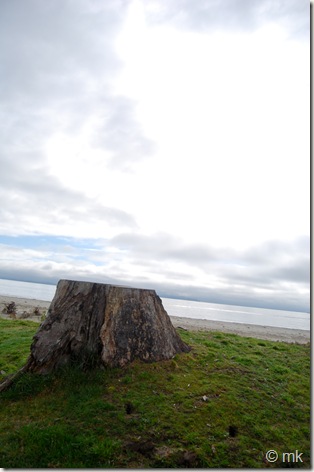 DSC_1074 DSC_1074
