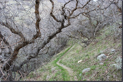 IMG_2376 IMG_2376