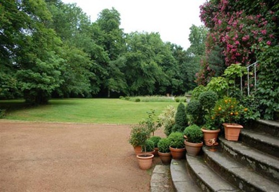 Garden Garden