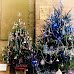 P1210497_copy.jpg