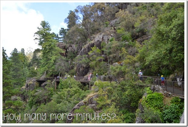 How Many More Minutes? ~ Longord, TAS: Cataract Gorge Reserve