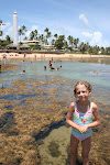 Praia do Forte 025.JPG