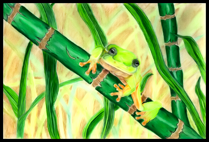[Green-Tree-Frog6.png]
