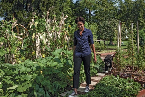 [AT-120612-bo-garden-03_photoblog600%255B3%255D.jpg]