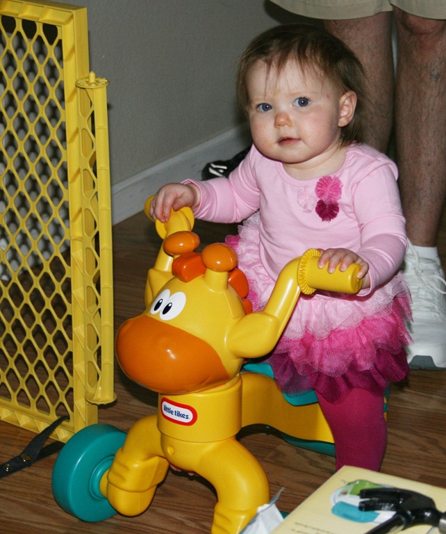 [IMG_7969%255B3%255D.jpg]
