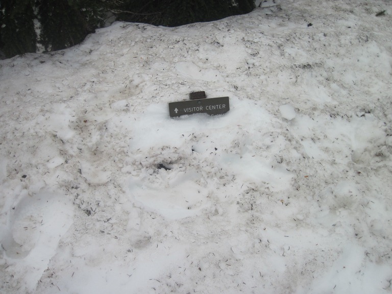 [IMG_1074%255B10%255D.jpg]